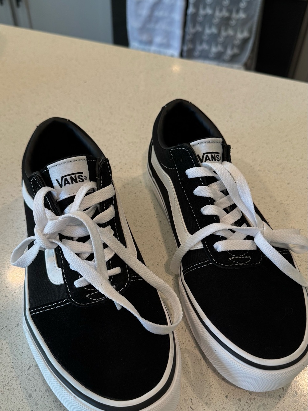 Vans Black & White Old Skool Low-Top Skate Sneakers